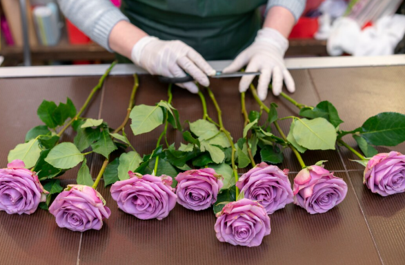 Best Artificial Flower Arrangements for Hospitals and Clinics