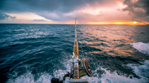 Experiencing the Depth and Diversity of Sport Fishing in Los Sueños