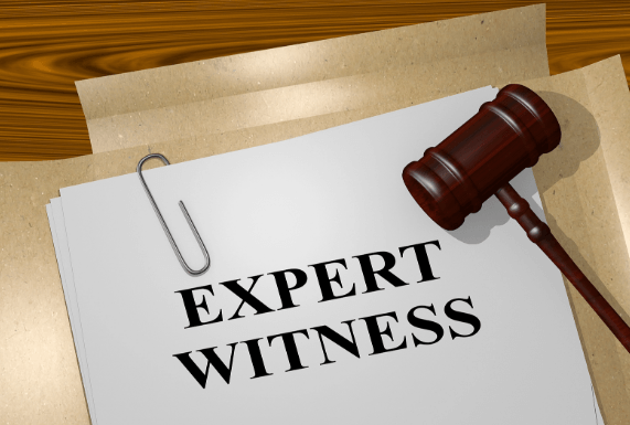 Expert Witnesses